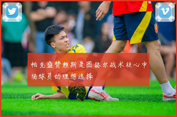 帕克盛赞赖斯是图赫尔战术核心中场球员的理想选择
